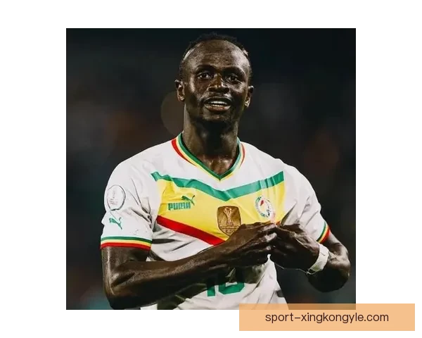 摩洛哥足协就塞内加尔罢赛投诉 摩洛哥足协就塞内加尔罢赛投诉