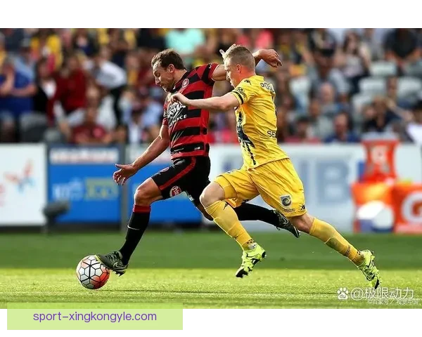 2026澳杯不纳凤凰奥克兰缺席