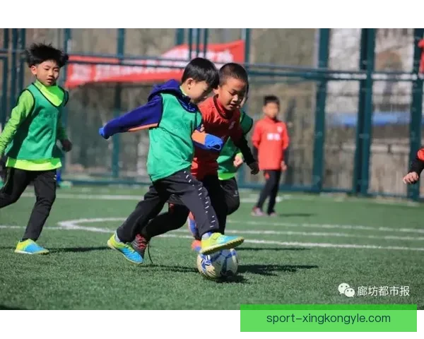 借鉴冰雪经验深化足球改革发展 借鉴冰雪经验深化足球改革发展